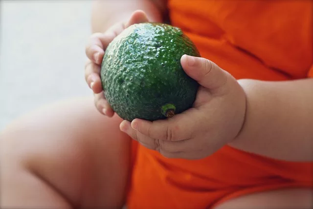 Avocado in der Schwangerschaft